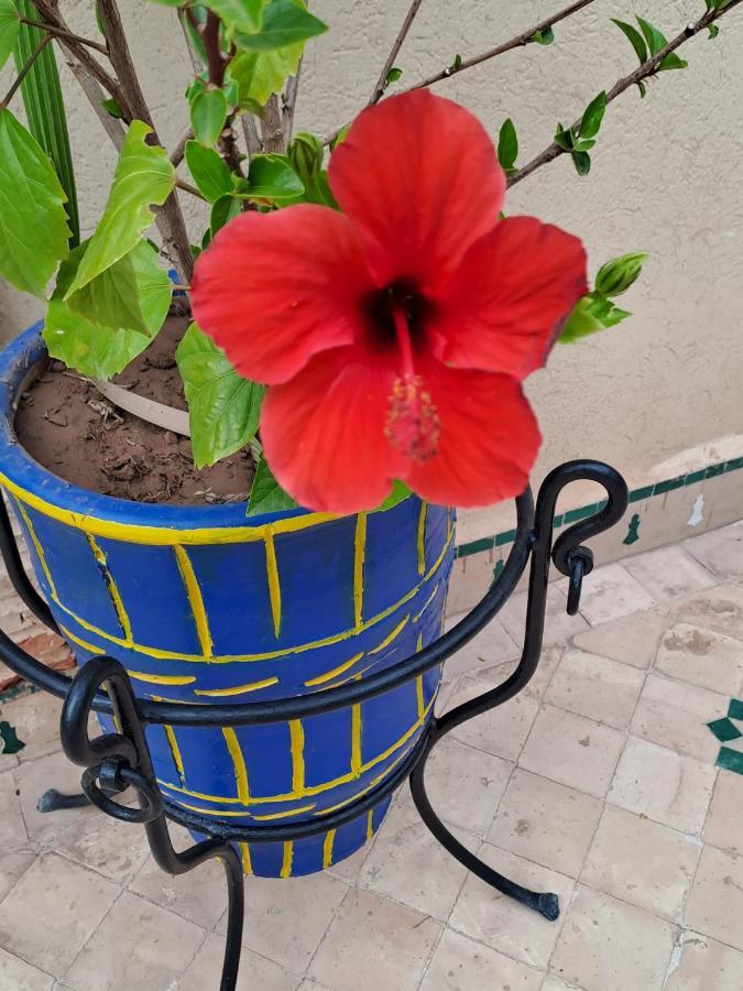 Rime Garden Marrakech *